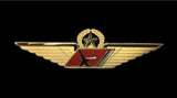 Express Jet gold-colored wing with red center and a plane icon for Captain