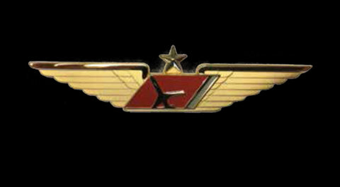 Express Jet gold-colored wing with red center and a plane icon for Captain